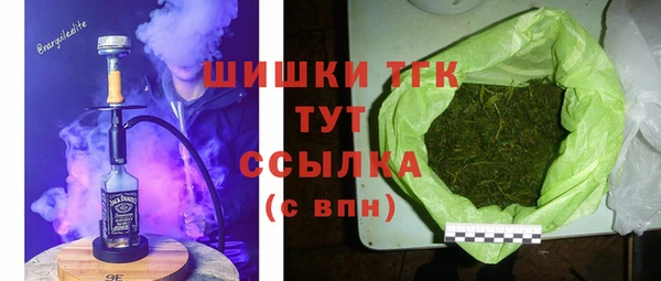 ПСИЛОЦИБИНОВЫЕ ГРИБЫ Корсаков