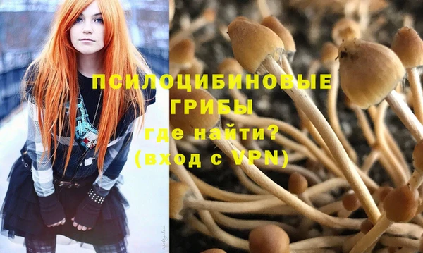 метадон Коряжма