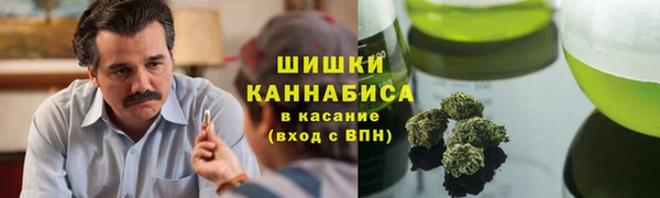 стаф Костерёво