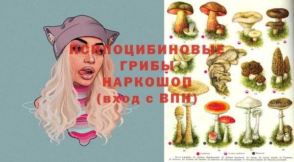 метадон Коряжма