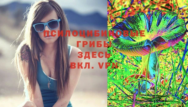 стаф Костерёво
