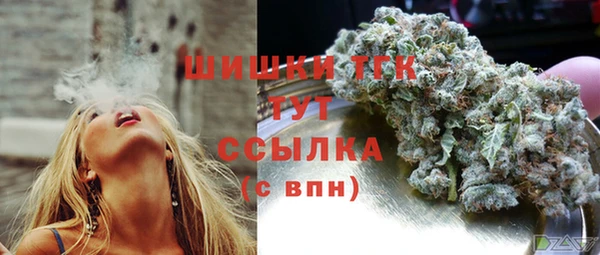метадон Коряжма