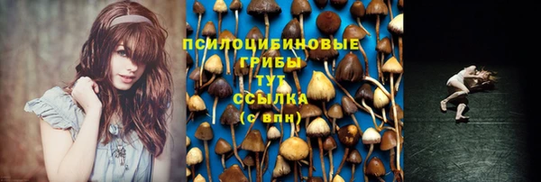 стаф Костерёво