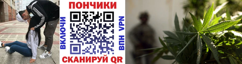 МАРИХУАНА гибрид  Купить закладки  Сасово 